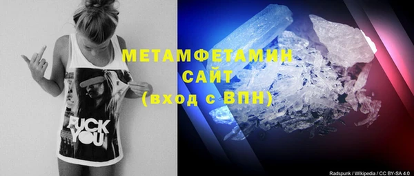 крисы Алексин