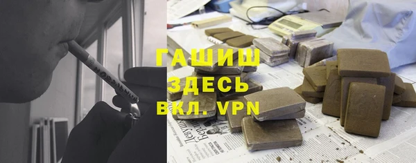 индика Осташков