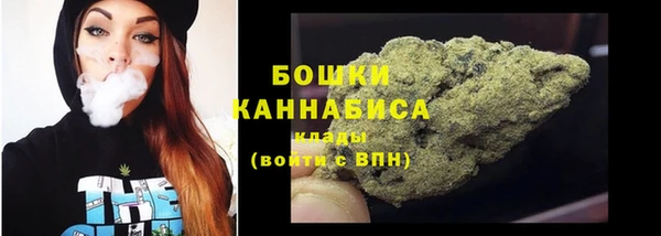 индика Осташков