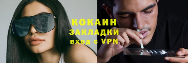 индика Алзамай