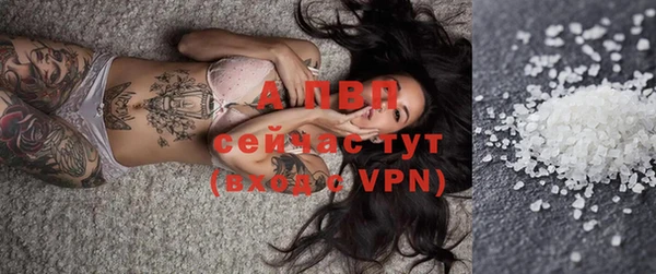 крисы Алексин