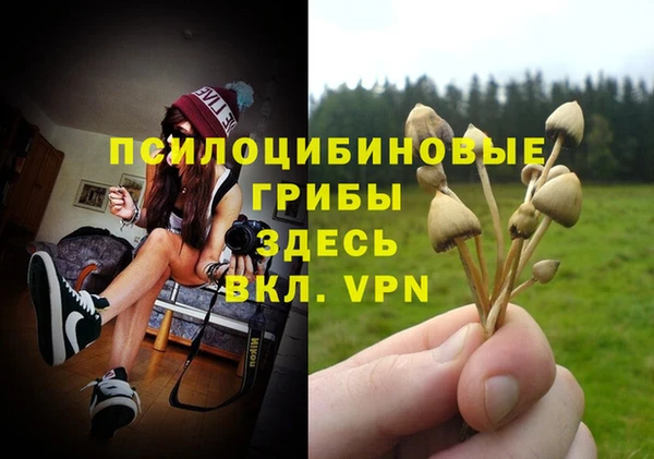 прущая мука Остров