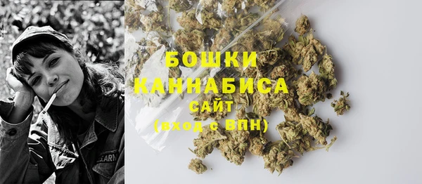 индика Осташков