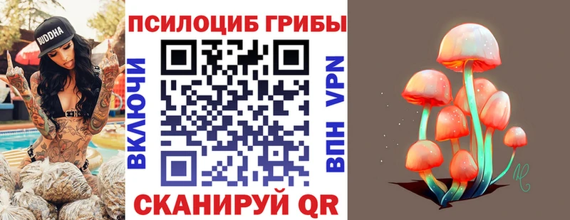 Псилоцибиновые грибы Magic Shrooms  как найти наркотики  Дивногорск 